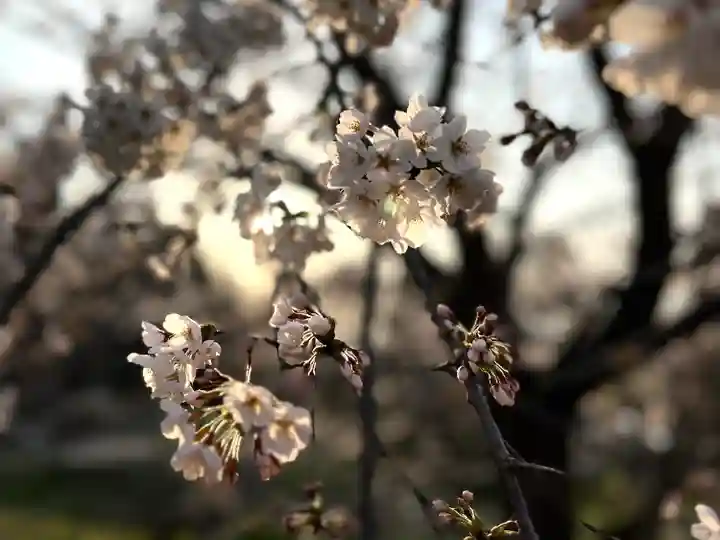 如法寺(長野県)