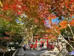 大原野神社の鳥居