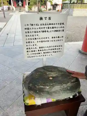 津観音の{uncategorized: "未分類", other: "その他", undefined: "問題あり", building: "その他建物", grave: "お墓", sacred_gate: "鳥居", guardian: "狛犬", statue: "像", buddha: "仏像", history: "歴史", nature: "自然", garden: "庭園", animal: "動物", pagoda: "塔", temizu: "手水舎", mountain_gate: "山門・神門", sanctuary: "本殿・本堂", subordinate: "末社・摂社", art: "芸術", scenery: "景色", jizo: "地蔵", ema: "絵馬", goshuin: "御朱印", omikuji: "おみくじ", items: "授与品その他", amulet: "お守り", goshuincho: "御朱印帳", eats: "食事", festival: "お祭り", votive_dance: "神楽", shichigosan: "七五三参", wedding: "結婚式", experience: "体験その他", initially: "初詣", around: "周辺", anti_infection: "感染症対策"}