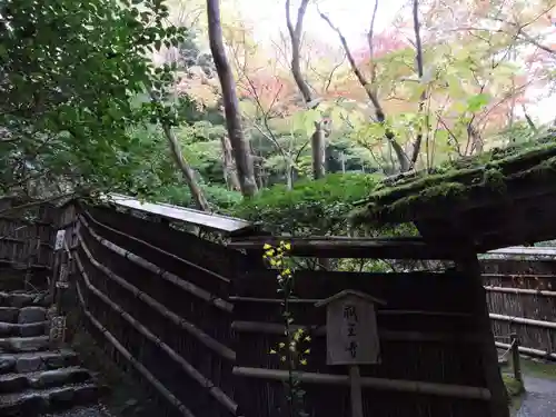祇王寺(京都府)