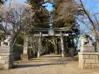 千代ケ岡八幡宮(栃木県)