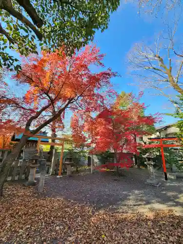 呉服神社(大阪府)