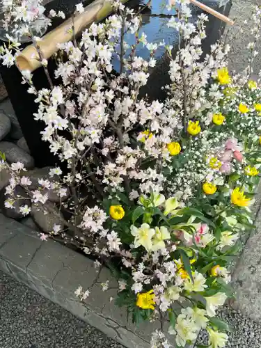 上尾御嶽神社(埼玉県)