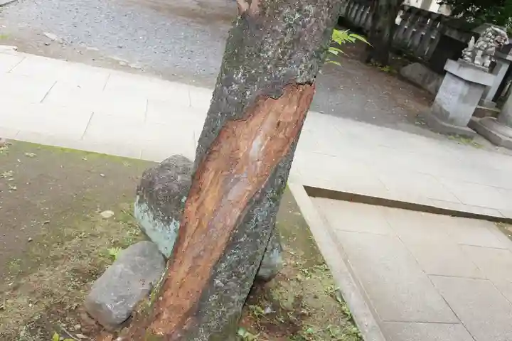 くまくま神社(導きの社 熊野町熊野神社)のその他建物