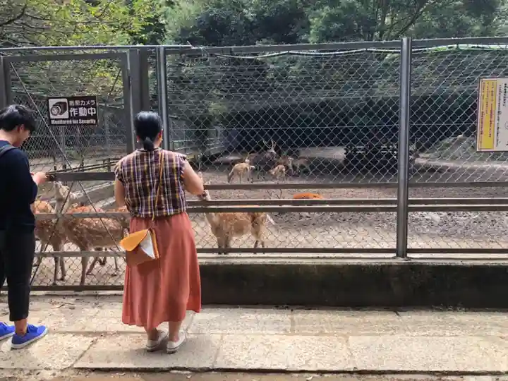鹿島神宮(茨城県)