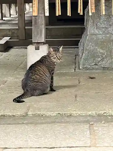大宝八幡宮(茨城県)