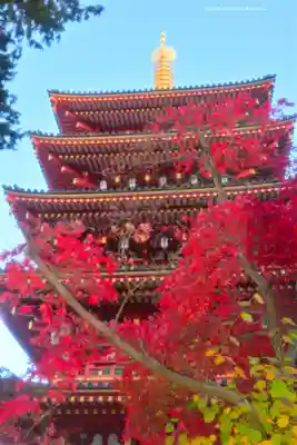 高幡不動尊　金剛寺(東京都)