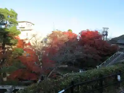 清水寺(京都府)