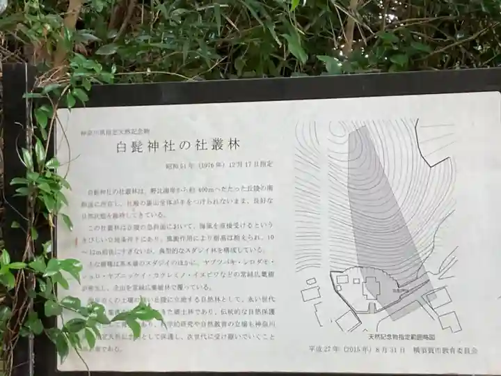 白髭神社(神奈川県)