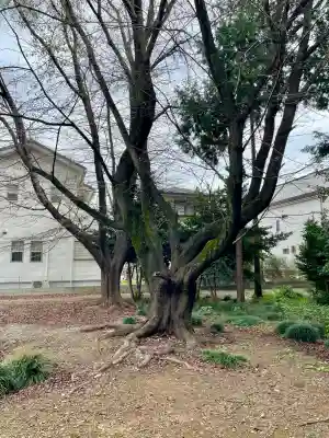 関間神明神社(埼玉県)
