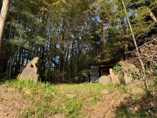 神社(名称不明)の狛犬