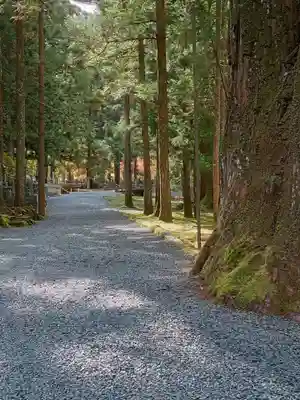 高野山金剛峯寺奥の院(和歌山県)