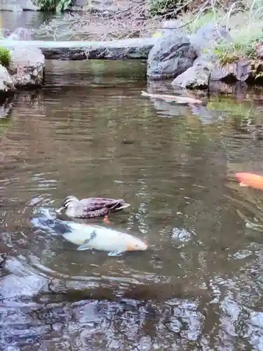 靖國神社(東京都)