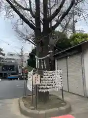 溝口神社(神奈川県)