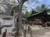 安達太良神社の{uncategorized: "未分類", other: "その他", undefined: "問題あり", building: "その他建物", grave: "お墓", sacred_gate: "鳥居", guardian: "狛犬", statue: "像", buddha: "仏像", history: "歴史", nature: "自然", garden: "庭園", animal: "動物", pagoda: "塔", temizu: "手水舎", mountain_gate: "山門・神門", sanctuary: "本殿・本堂", subordinate: "末社・摂社", art: "芸術", scenery: "景色", jizo: "地蔵", ema: "絵馬", goshuin: "御朱印", omikuji: "おみくじ", items: "授与品その他", amulet: "お守り", goshuincho: "御朱印帳", eats: "食事", festival: "お祭り", votive_dance: "神楽", shichigosan: "七五三参", wedding: "結婚式", experience: "体験その他", initially: "初詣", around: "周辺", anti_infection: "感染症対策"}