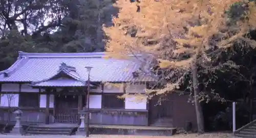 熊野三所神社の本殿・本堂