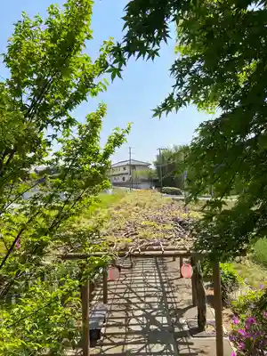 城ヶ入観音の自然