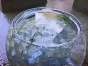 滑川神社 - 仕事と子どもの守り神(福島県)(2022年07月11日(月) 11時35分34秒投稿)