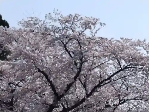 千手院(島根県)