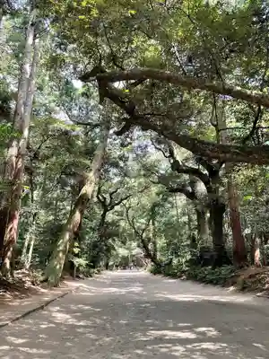 奥宮(鹿島神宮摂社)(茨城県)
