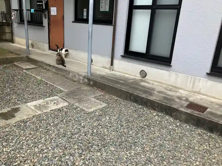 女塚神社(東京都)