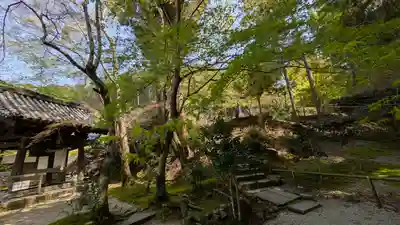 圓光寺(京都府)