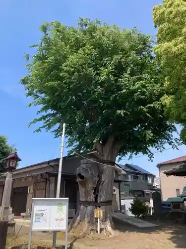 入野八坂神社(神奈川県)