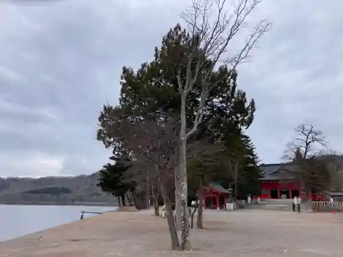 赤城神社の自然
