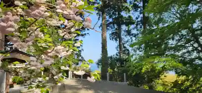 大島神社(宮城県)