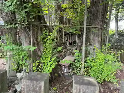 小室浅間神社(山梨県)