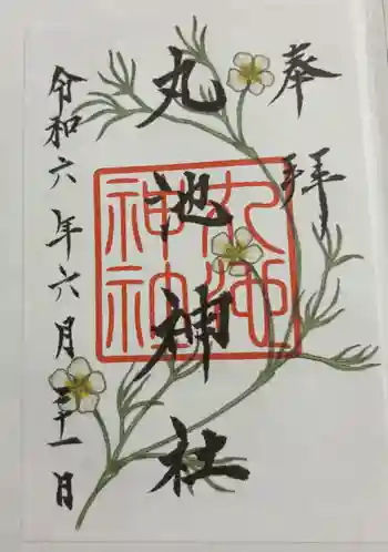 丸池神社の御朱印 2024年06月