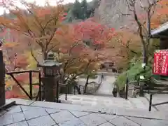 長谷寺の自然