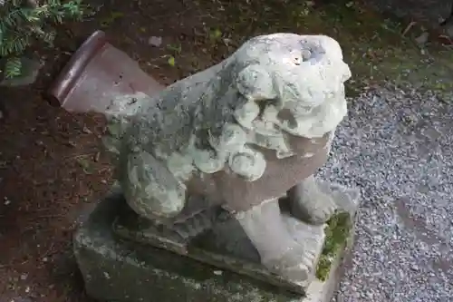 常堅寺の狛犬