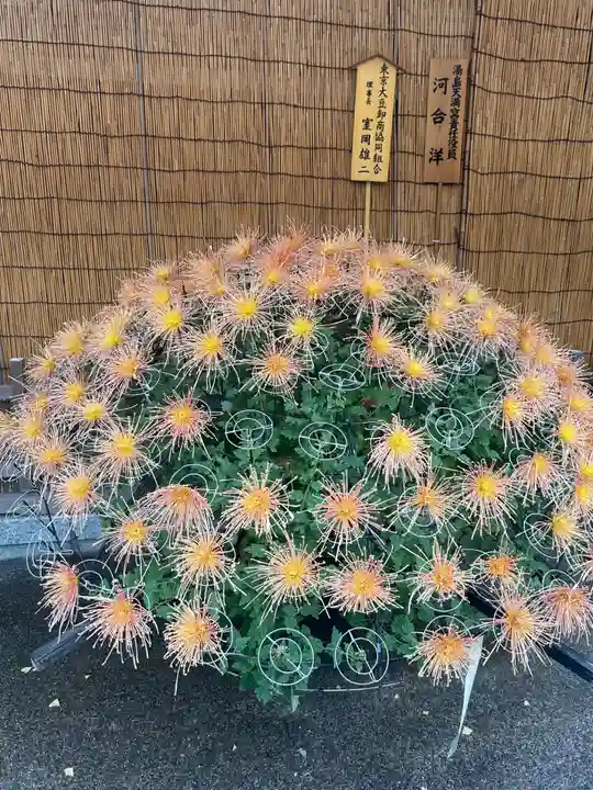 湯島天満宮(東京都)