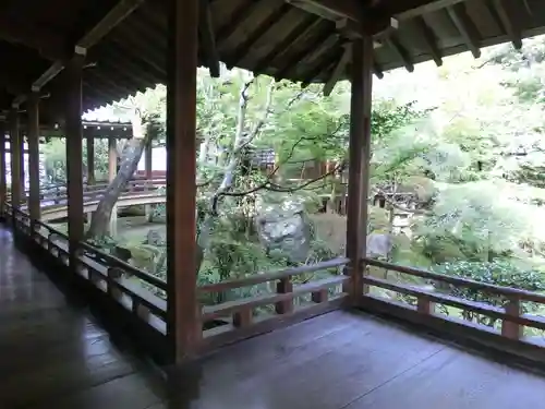 禅林寺（永観堂）の庭園