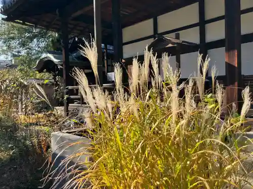 本長寺(滋賀県)