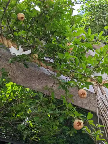 武信稲荷神社の自然