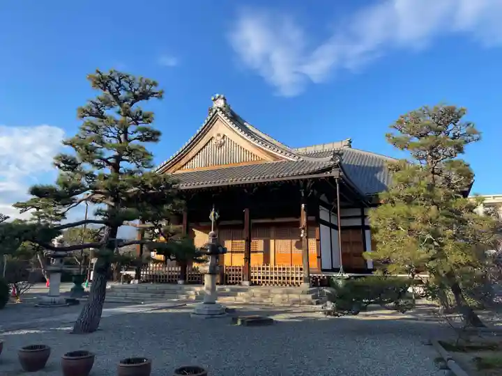 妙蓮寺(京都府)