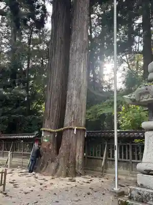 伊和神社(兵庫県)