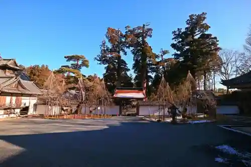 瑞巌寺の自然