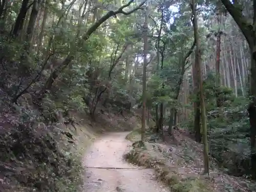 醍醐寺（上醍醐）の景色