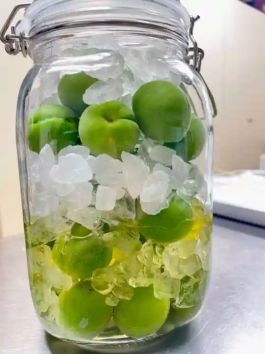 當光寺(東京都)