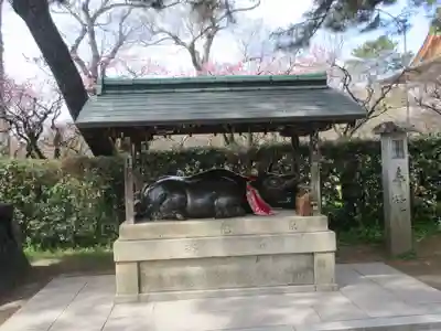 北野天満宮(京都府)