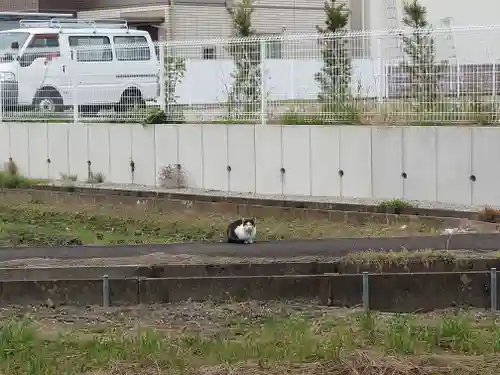 小土神社(静岡県)