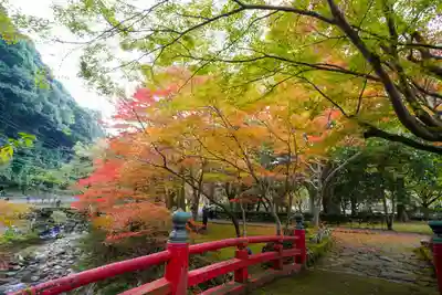 大寧寺(山口県)