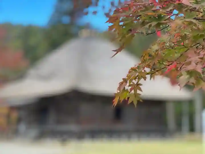 毛越寺(岩手県)