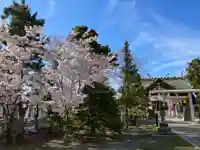 烈々布神社のその他建物