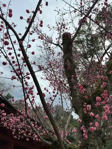 春日大社の{uncategorized: "未分類", other: "その他", undefined: "問題あり", building: "その他建物", grave: "お墓", sacred_gate: "鳥居", guardian: "狛犬", statue: "像", buddha: "仏像", history: "歴史", nature: "自然", garden: "庭園", animal: "動物", pagoda: "塔", temizu: "手水舎", mountain_gate: "山門・神門", sanctuary: "本殿・本堂", subordinate: "末社・摂社", art: "芸術", scenery: "景色", jizo: "地蔵", ema: "絵馬", goshuin: "御朱印", omikuji: "おみくじ", items: "授与品その他", amulet: "お守り", goshuincho: "御朱印帳", eats: "食事", festival: "お祭り", votive_dance: "神楽", shichigosan: "七五三参", wedding: "結婚式", experience: "体験その他", initially: "初詣", around: "周辺", anti_infection: "感染症対策"}