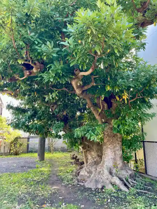 巽神社(神奈川県)