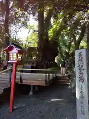 來宮神社の歴史